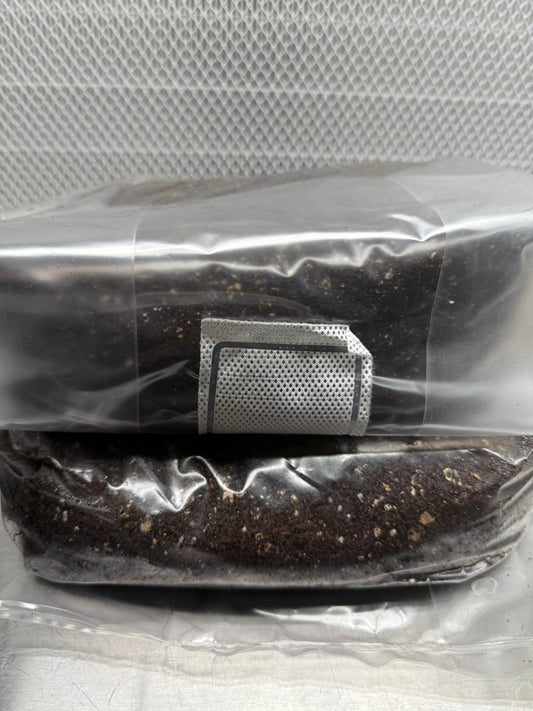Dung-Loving Mushroom Cultivation Kit — Whole Oats + CVG