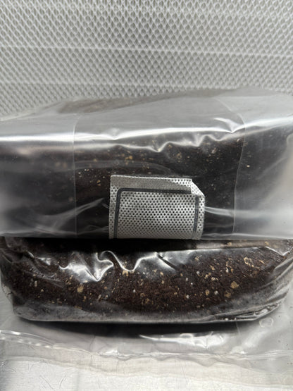 Dung-Loving Mushroom Cultivation Kit — Whole Oats + CVG