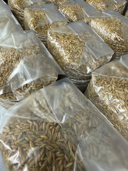 3lb Sterilized Grain