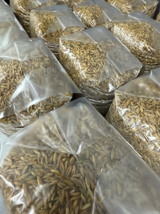 3lb Sterilized Grain