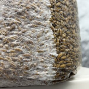 Sterilized Grain (WHOLE OATS) 3lb Bags